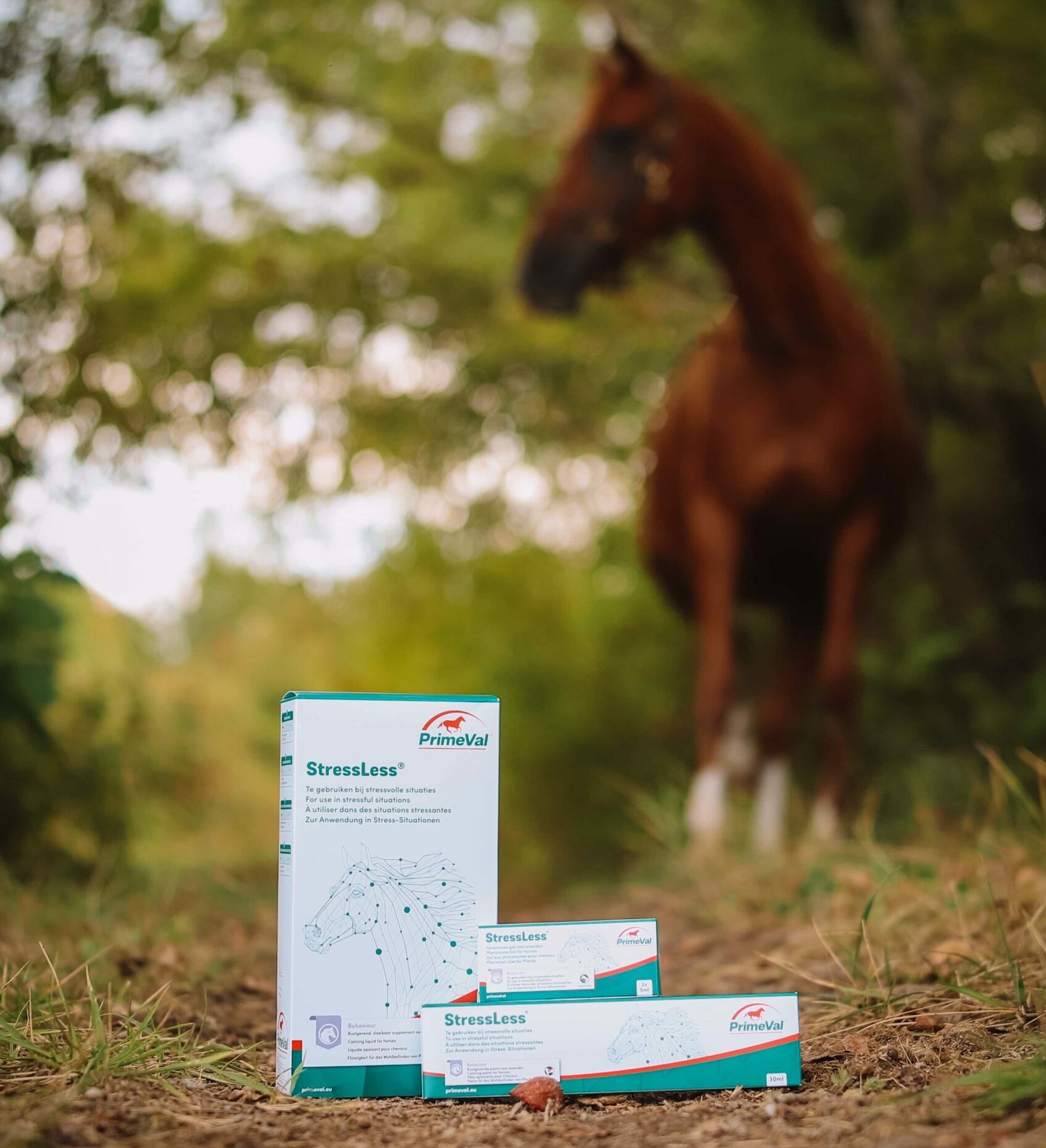 produit cheval seance photo