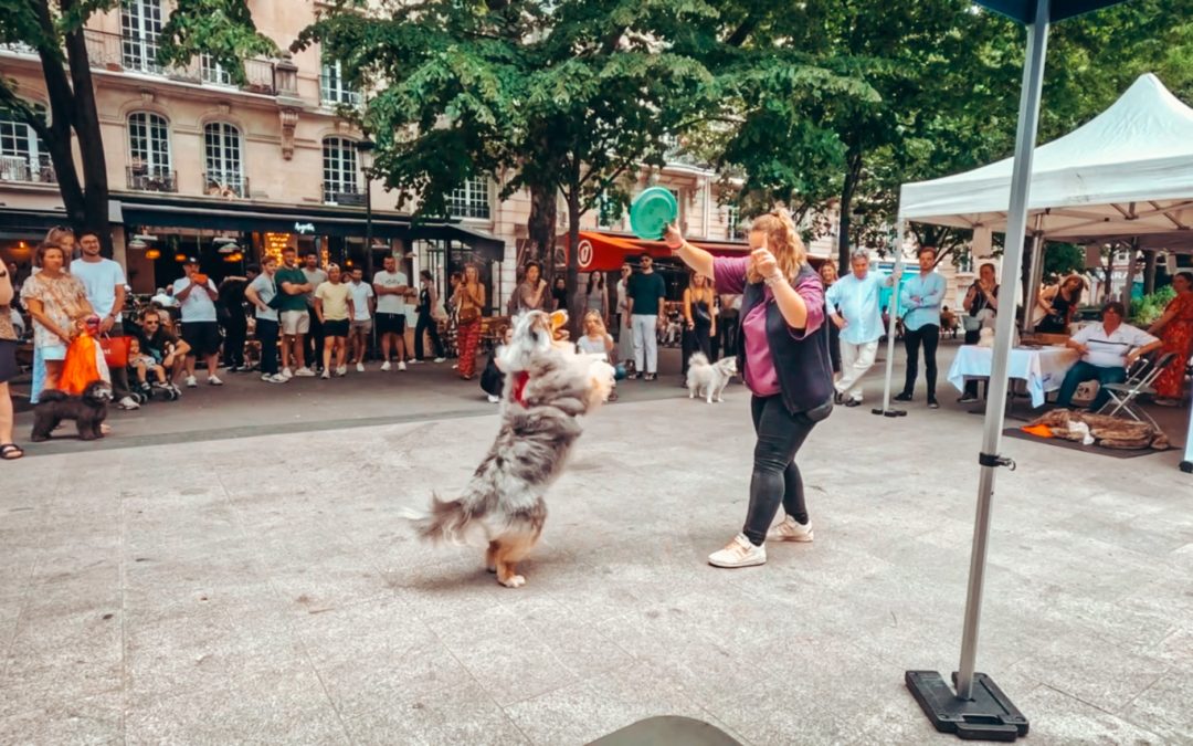Démo de Dog Dancing au forum des animaux en ville (Paris 17e)