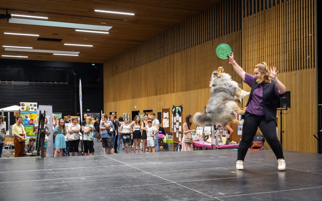 Démo de Dog Dancing au salon des Ani&rsquo;Meaux