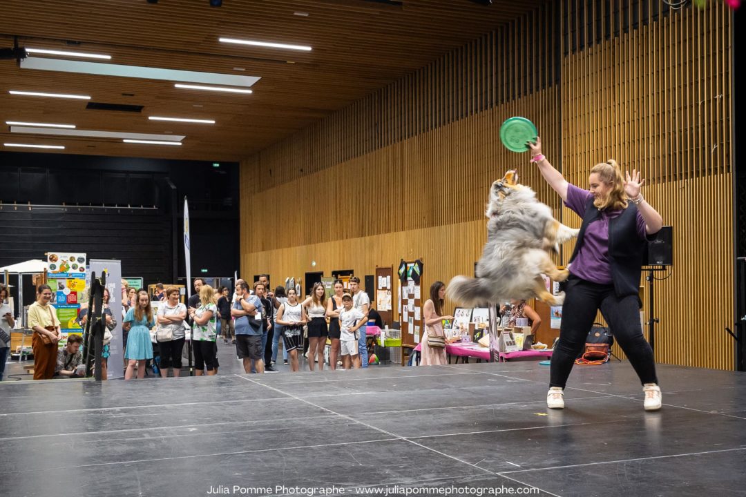 Démo de Dog Dancing au salon des Ani&rsquo;Meaux