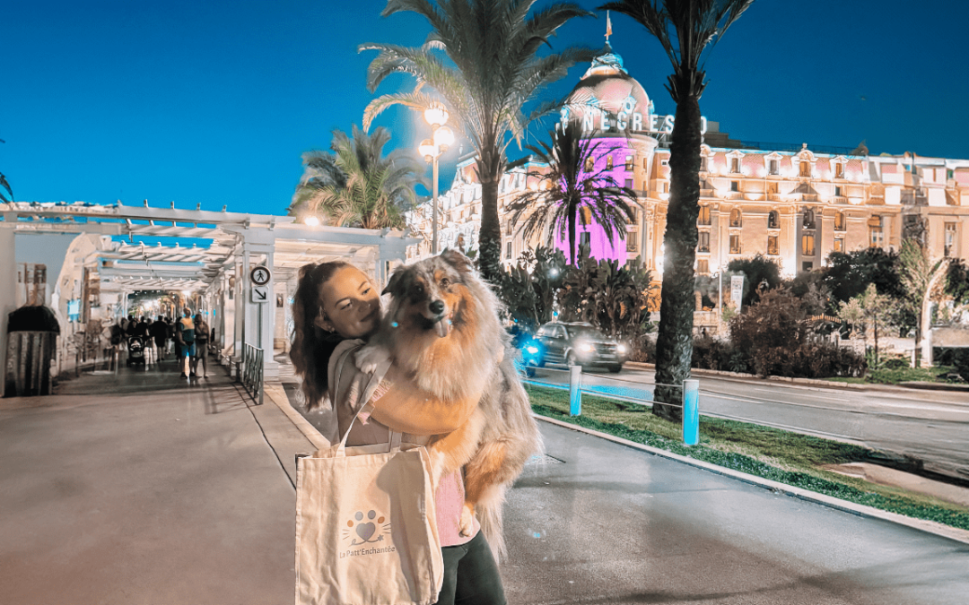 Démo de Dog Dancing au Negresco