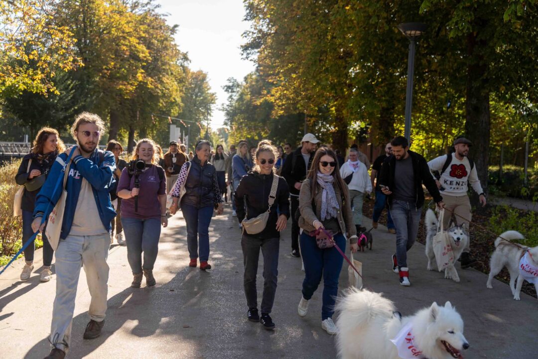 La Marche de l&rsquo;Animal en Ville 2024
