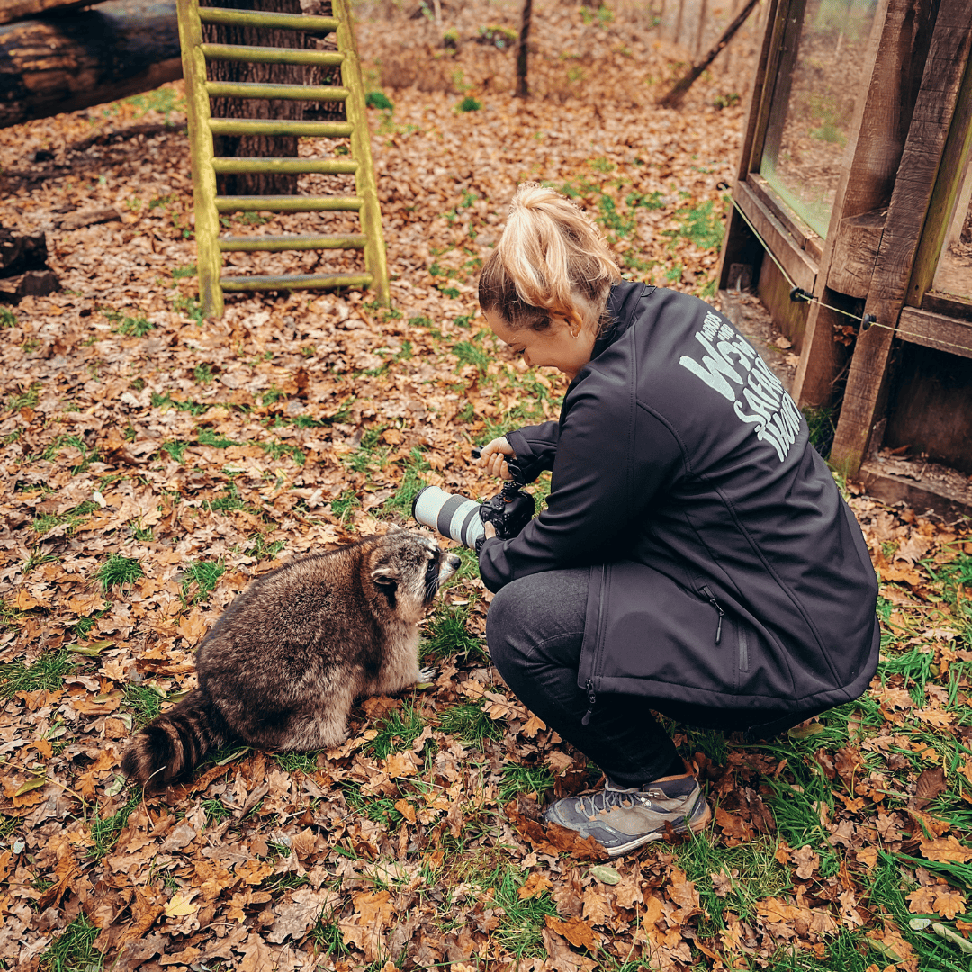 community management parc animalier