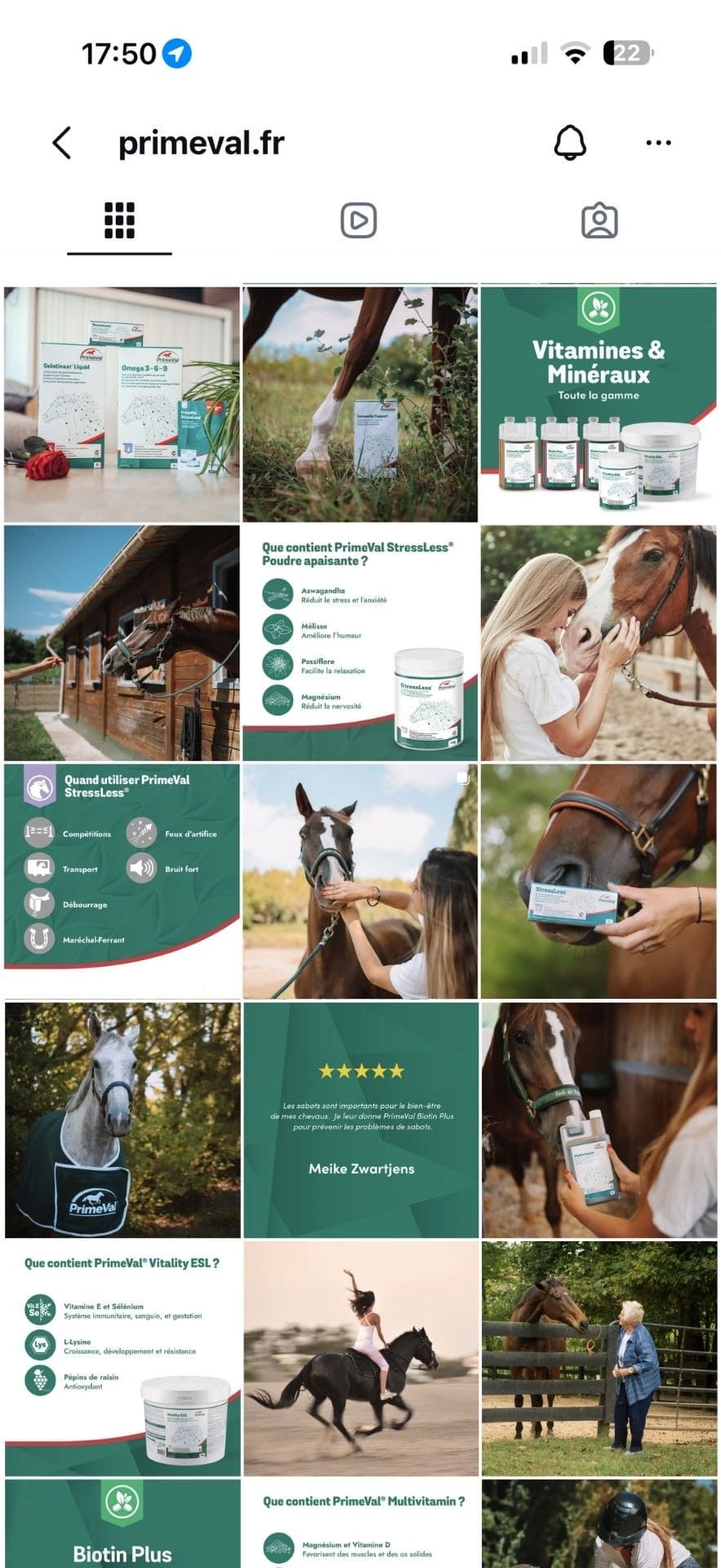 community manager cheval primeval community manager Primeval exemple de compte instagram avec des chevaux