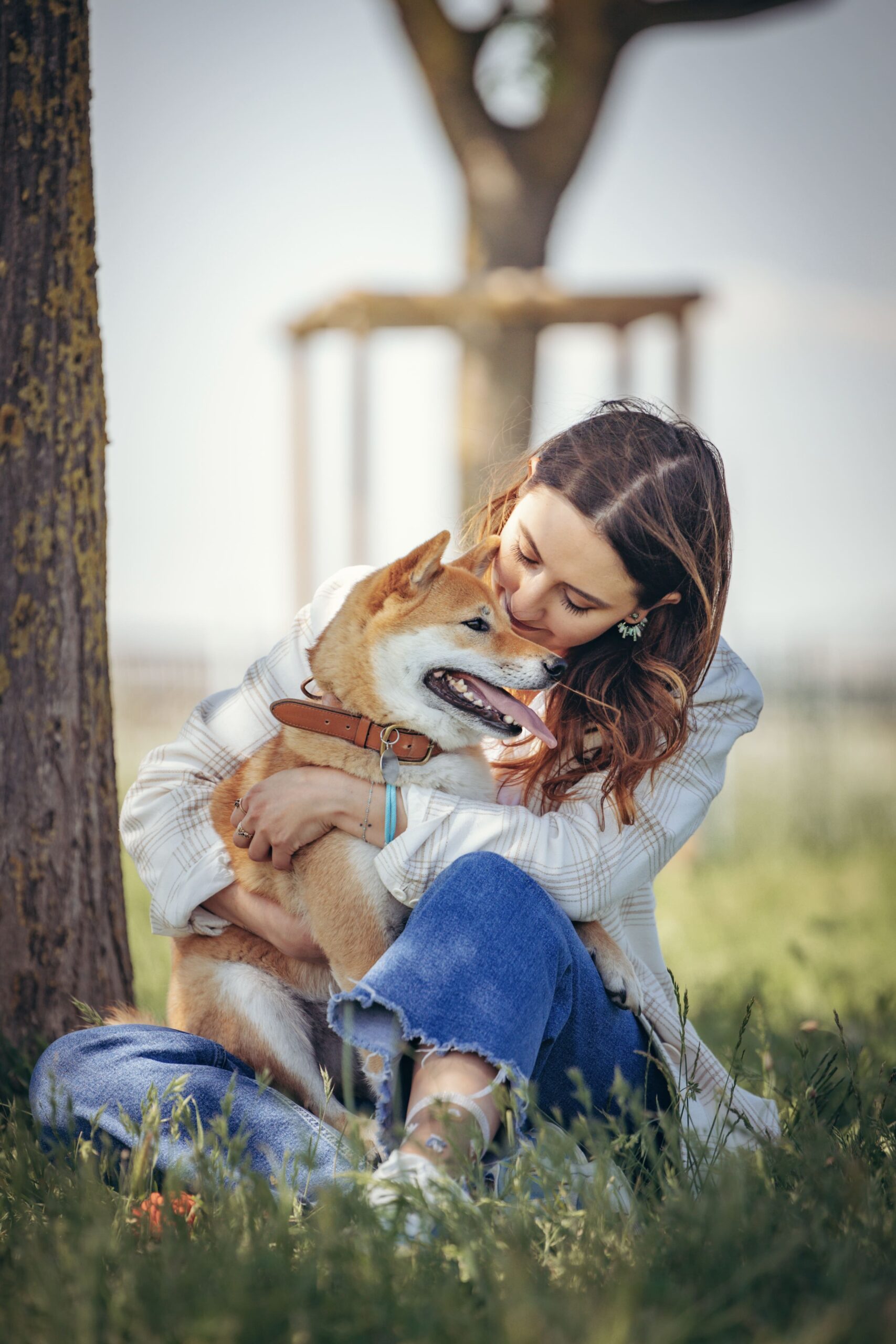 Relation chien