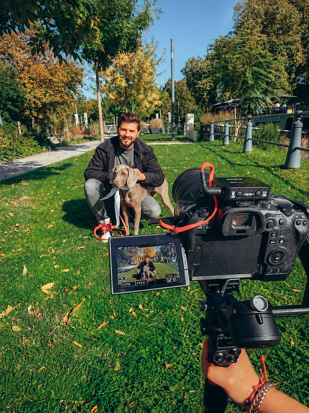 tournage video la marche de l'animal en ville